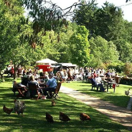 Brooklodge & 4* Macreddin Village