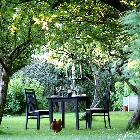 Brooklodge &