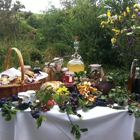 Hotel Brooklodge &