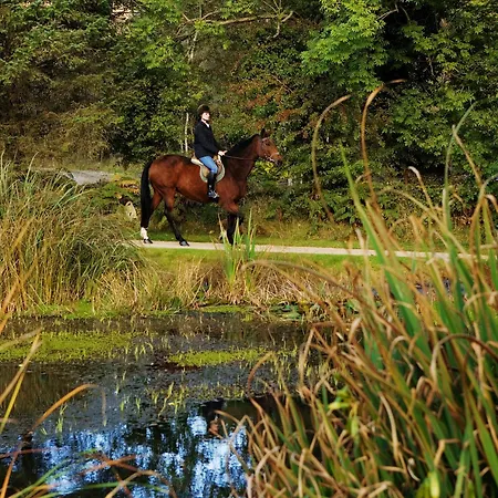 Brooklodge & Szálloda Macreddin Village