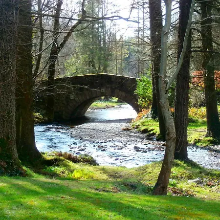 Hotel Brooklodge & 4*