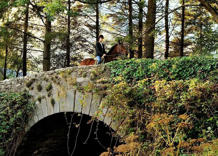 Hotel Brooklodge & Macreddin Village