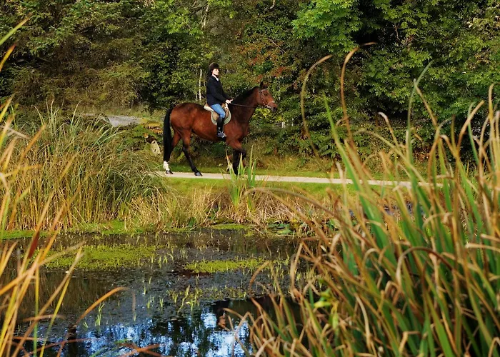 Brooklodge & Отель Macreddin Village